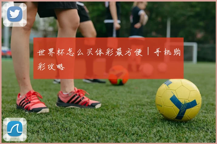 世界杯怎么买体彩最方便｜手机购彩攻略