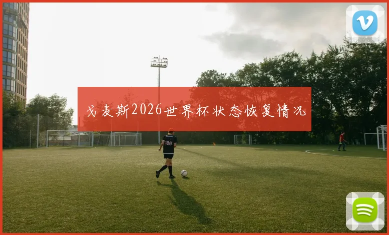 戈麦斯2026世界杯状态恢复情况