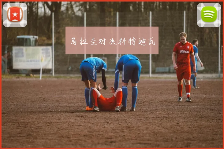 乌拉圭对决科特迪瓦